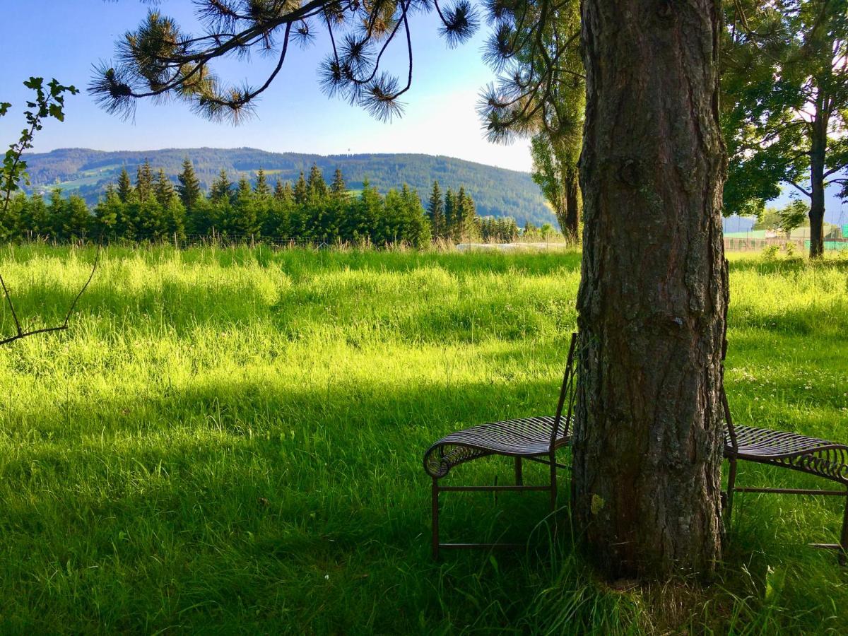 Naturforsthaus Gartenblick Fuer Hunde - Und Naturverbundene Menschen Preitenegg Exteriér fotografie
