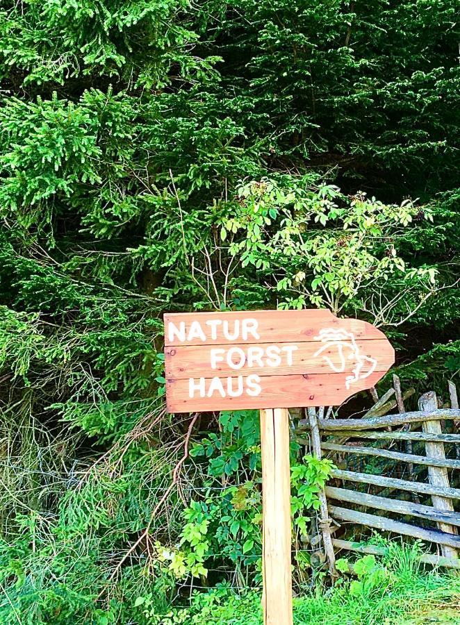Naturforsthaus Gartenblick Fuer Hunde - Und Naturverbundene Menschen Preitenegg Exteriér fotografie