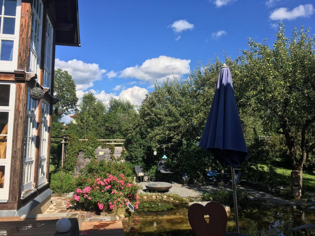 Naturforsthaus Gartenblick Fuer Hunde - Und Naturverbundene Menschen Preitenegg Exteriér fotografie