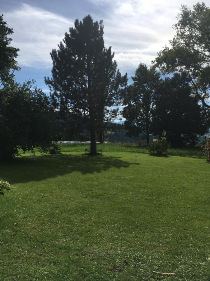 Naturforsthaus Gartenblick Fuer Hunde - Und Naturverbundene Menschen Preitenegg Exteriér fotografie