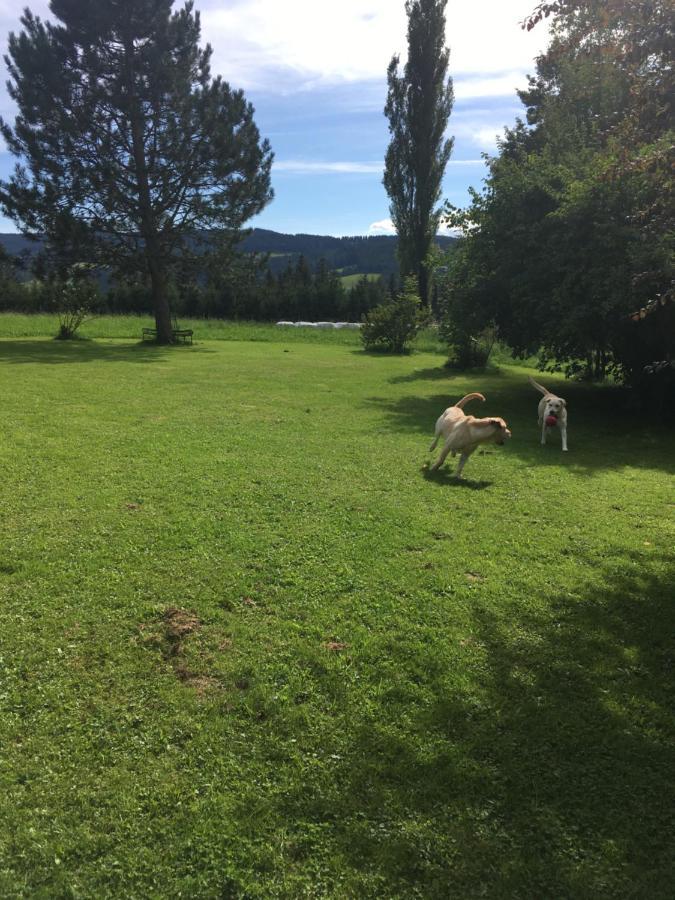 Naturforsthaus Gartenblick Fuer Hunde - Und Naturverbundene Menschen Preitenegg Exteriér fotografie