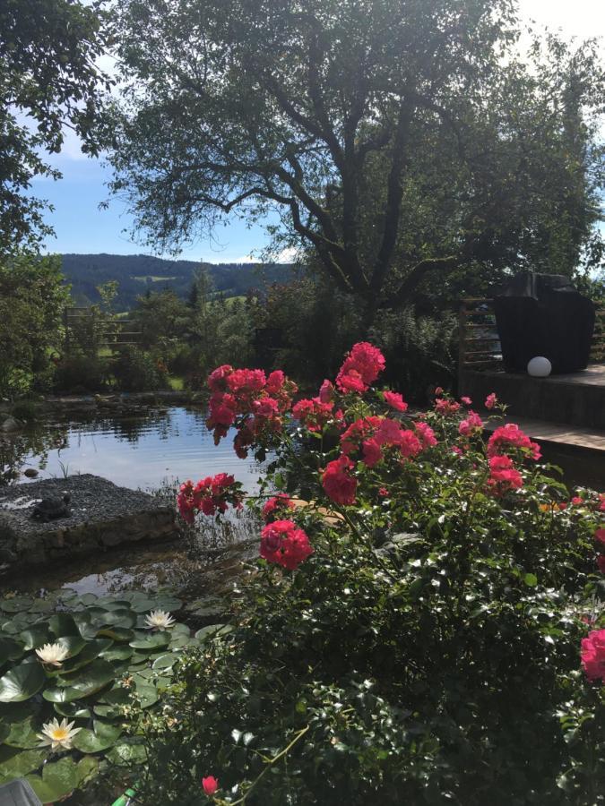 Naturforsthaus Gartenblick Fuer Hunde - Und Naturverbundene Menschen Preitenegg Exteriér fotografie
